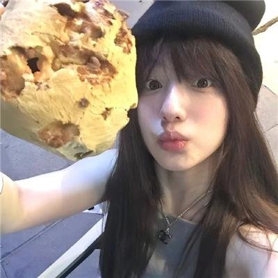 网中的太阳